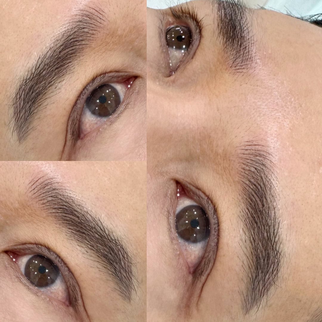 Men Brows ( 6D )